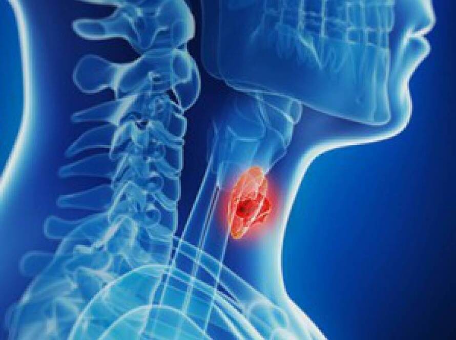 Dr Thiago Verissimo - Obesidade, Hipertrofia Muscular, Medicina do esporte, Distúrbios hormonais, Diabetes, Doenças da tireoide em Manaus - AM