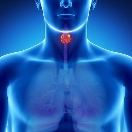 Distúrbios Hormonais